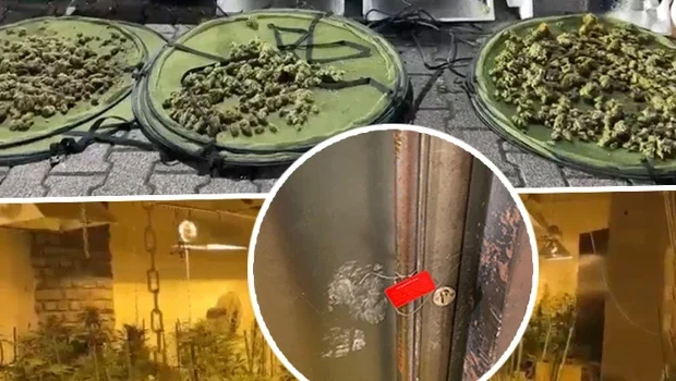 Yoğun koku yayılınca ortaya çıktı! İzole edilmiş odada 'pes' dedirten düzenek: Piyasa değeri 30 milyon lira