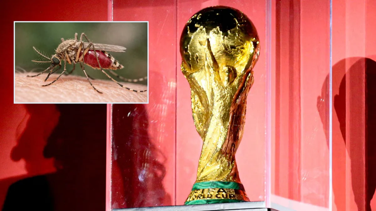 A colombiano que asistió al partido contra RD Congo le detectaron paludismo en Guadalajara: se encienden las alarmas durante el Mundial 2026