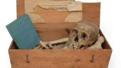 Anita Manning's auction house criticised for offering human remains