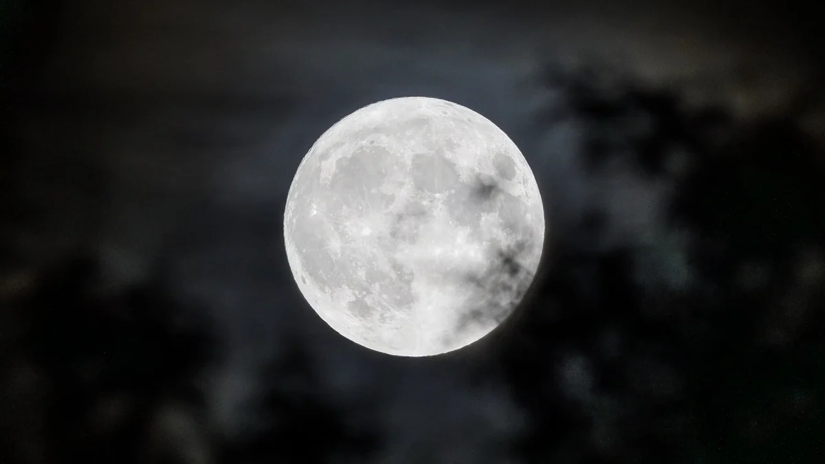Luna llena de ciervo, un fenómeno astronómico para disfrutar en julio: cuándo es y cómo verla