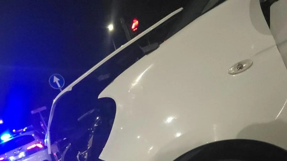 Cavalli in fuga dalla parata del 2 giugno, l’automobilista: “Hanno travolto la mia Smart, chi paga?”