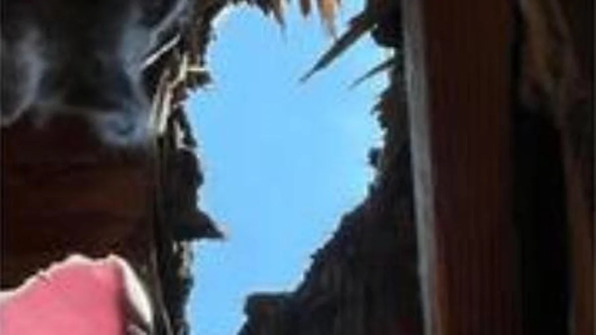 Un meteorite caduto in camera da letto svela i segreti dell’origine della vita sulla Terra