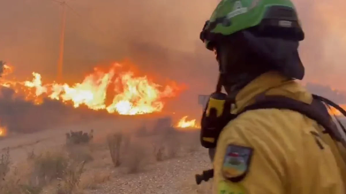 La UD Almería expresa su apoyo a los afectados por el incendio forestal de Los Gallardos