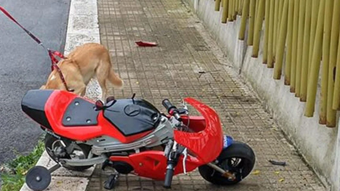 Alla guida della minimoto a 10 anni, muore nello scontro con una jeep