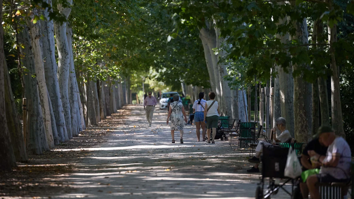 El fresno o el níspero, los cinco árboles que ayudan a combatir el calor extremo en las ciudades: hasta 3,5 grados menos