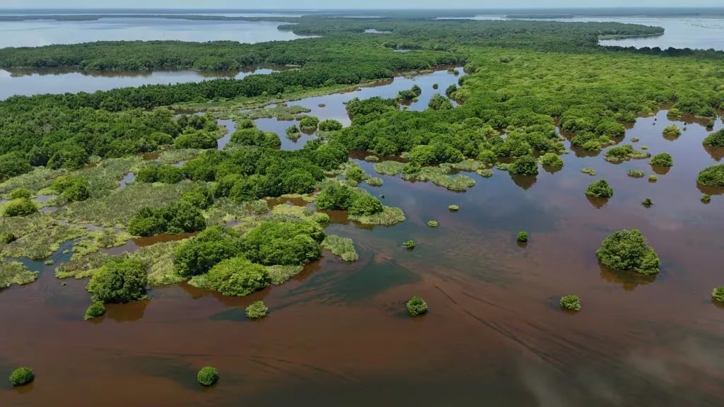 Parques Nacionales solicitó rigor técnico en la discusión ambiental en Colombia tras resultados presentados en el empalme ministerial