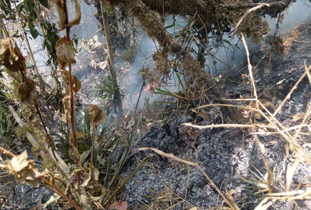 Alerta en Valle del Cauca por calor de 36,4 grados: aumenta riesgo de incendios forestales