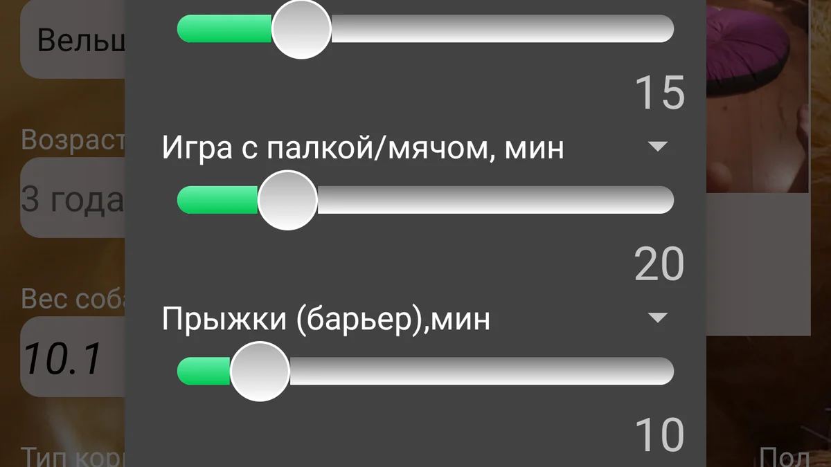 Продолжаем рассказывать о создании продолжения DogPlanner…
