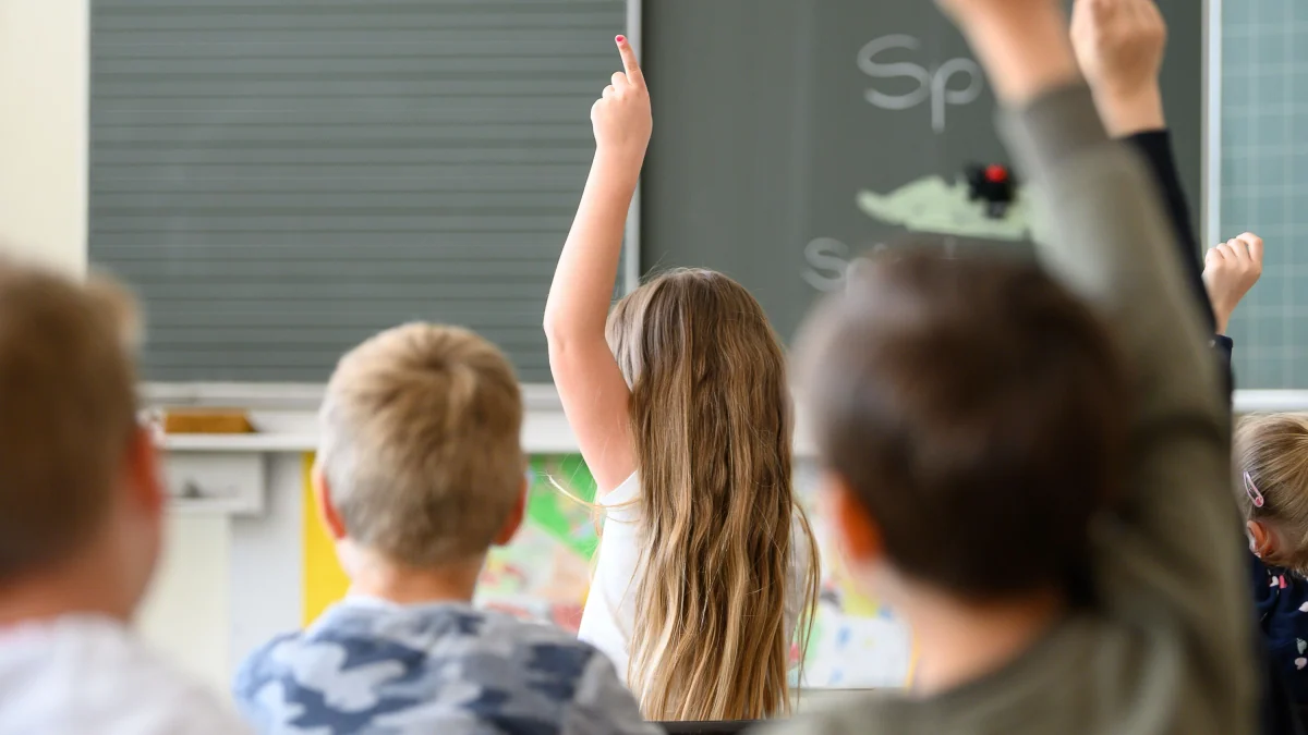 AfD-Bildungsprogramm: Deutsch denken – was soll das eigentlich heißen?