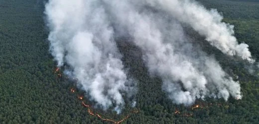Großbrand in Mecklenburg-Vorpommern – explodierende Munition behindert Löscharbeiten