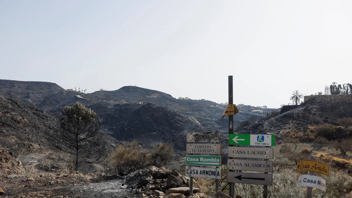 Bédar después de la tragedia: medio centenar de vecinos resisten en el corazón del incendio