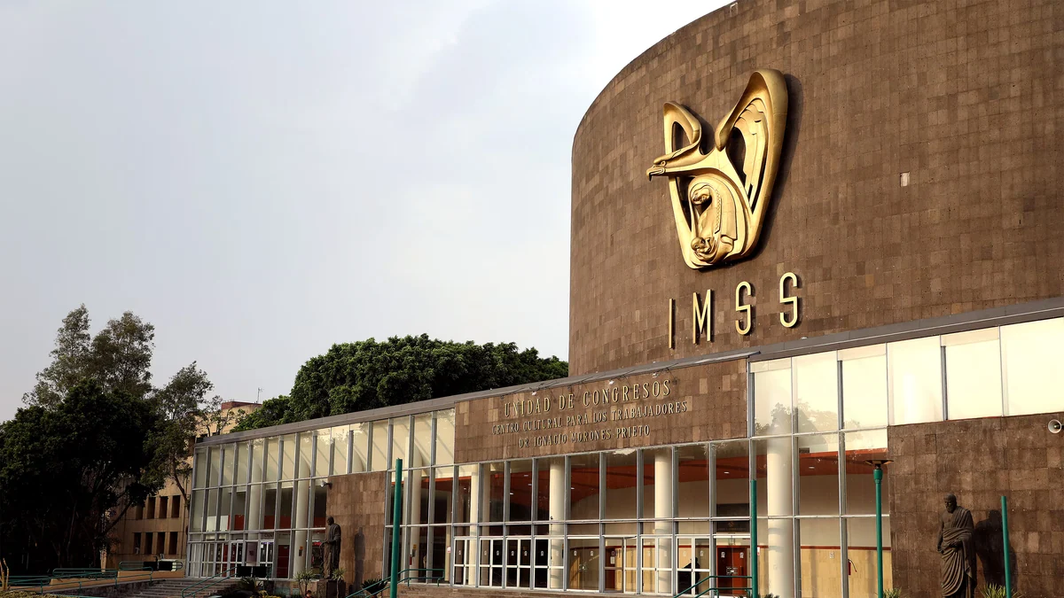 IMSS reconoce plaga de pulgas y garrapatas en unidad de Matamoros tras denuncias de trabajadores
