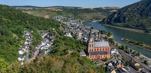 Oberwesel: Landschaftsgärtner findet fast 70 Jahre alte Flaschenpost am Rhein