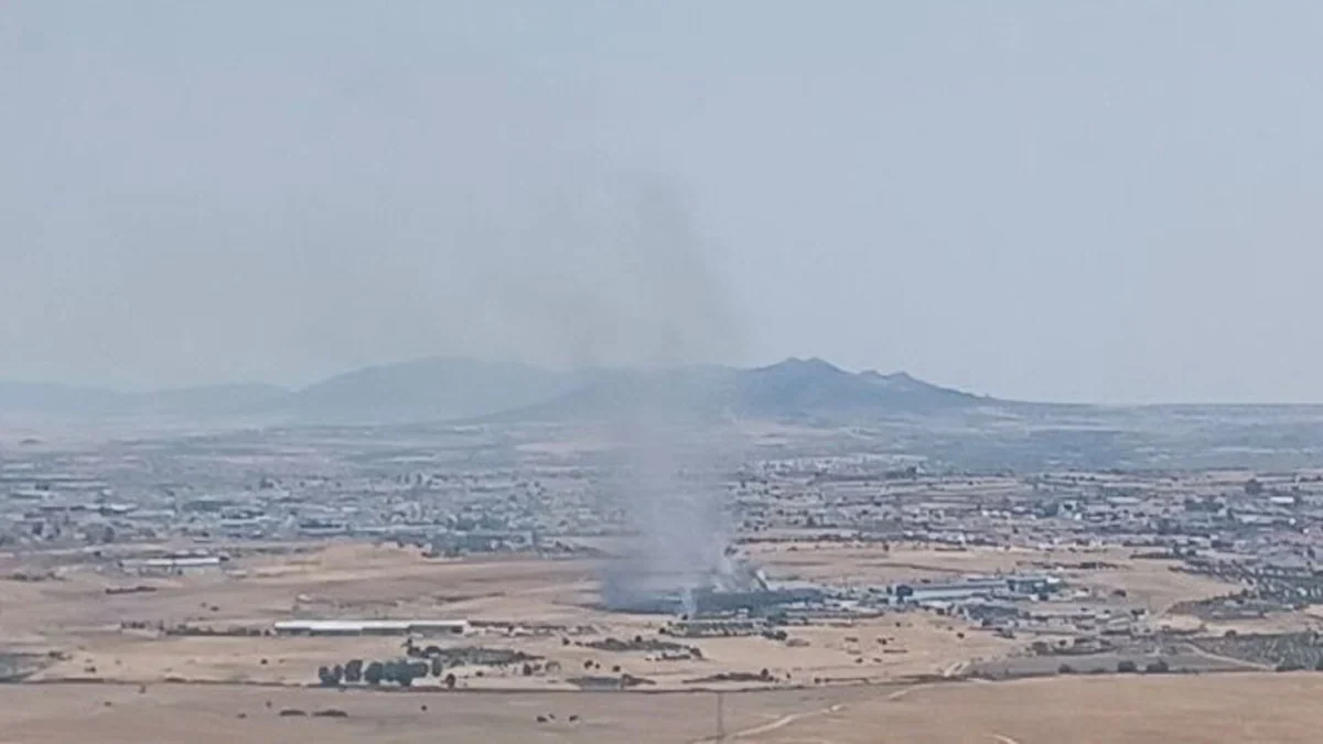Activado el nivel 1 en incendio forestal declarado en Quintana de la Serena (Badajoz)