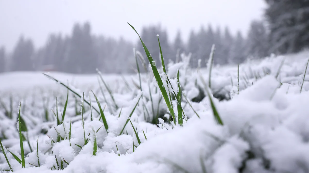 Bis zwei Zentimeter: Die Eisheiligen bringen Schnee in den Bergen