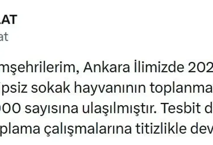 Ankara'da 52 bin sahipsiz sokak hayvanı toplandı