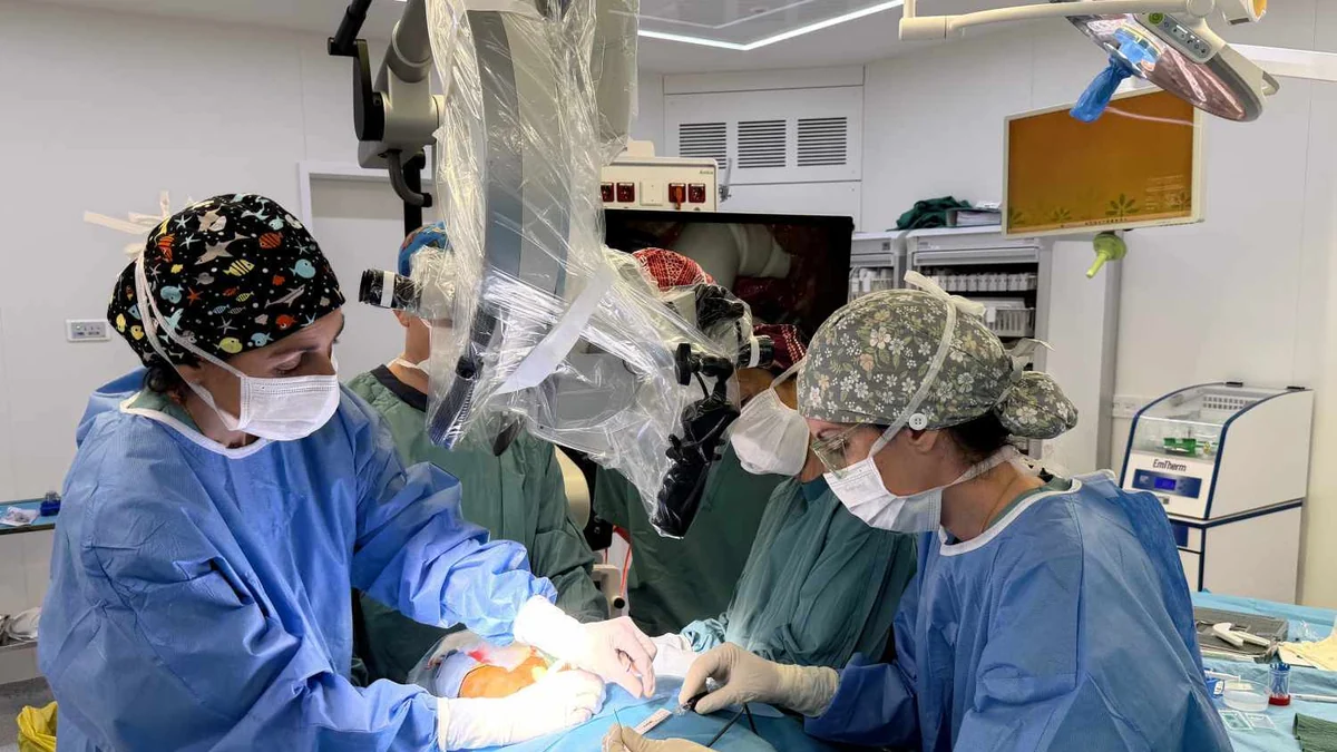 Bisturí contra el alzhéimer: el Hospital Germans Trias explora una técnica quirúrgica "revolucionaria" ante las primeras señales de la enfermedad