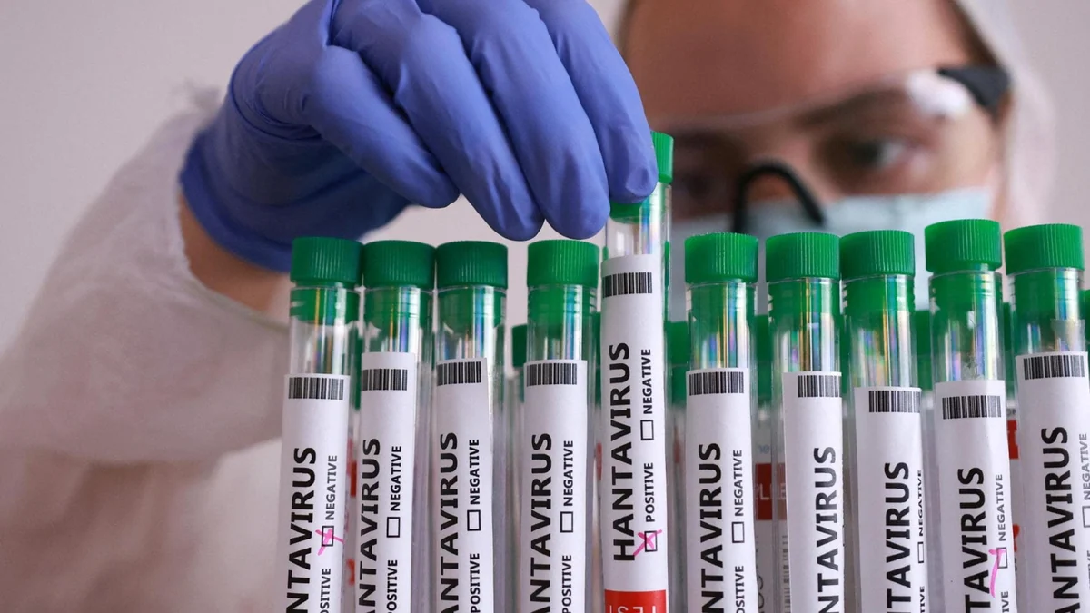 Hantavirus, contagiati, casi sospetti, isolamento, controlli. Ecco la circolare del ministero