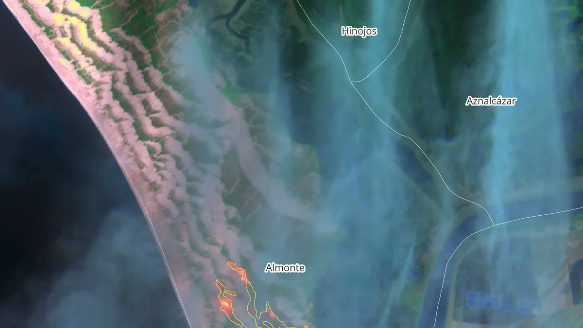 El incendio de Doñana afecta a unas 400 hectáreas en una zona de "enorme valor ecológico"
