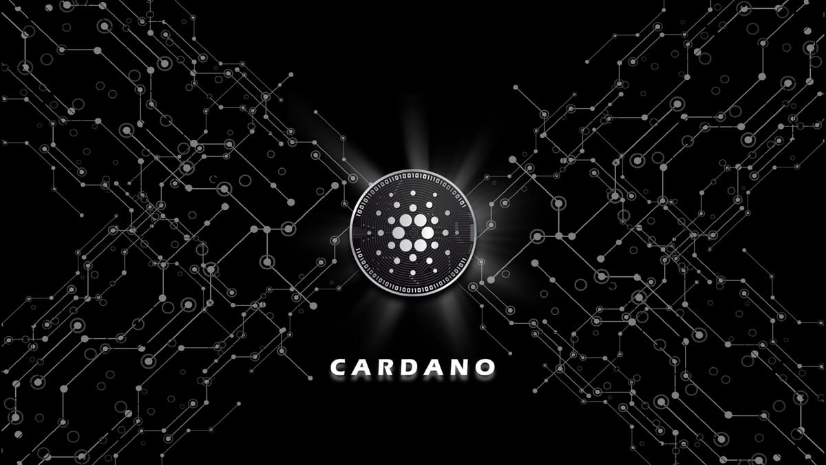 Cardano (ADA) Piyasadan Sert Ayrıştı: Yüzde 24’lük Yükselişin Ardındaki Cüzdan Sırrı