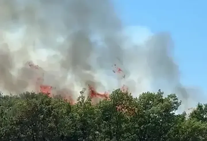 Bursa'da orman yangını! Kestel'de alevlere havadan ve karadan müdahale