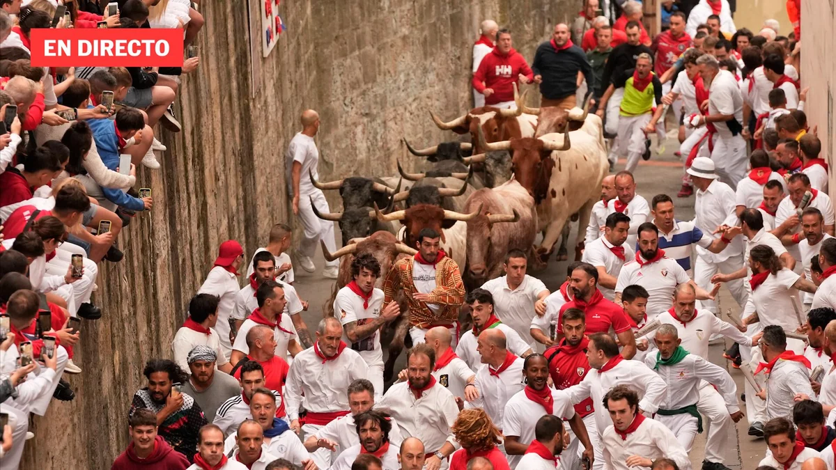Los toros de José Escolar brindan un encierro rápido y multitudinario