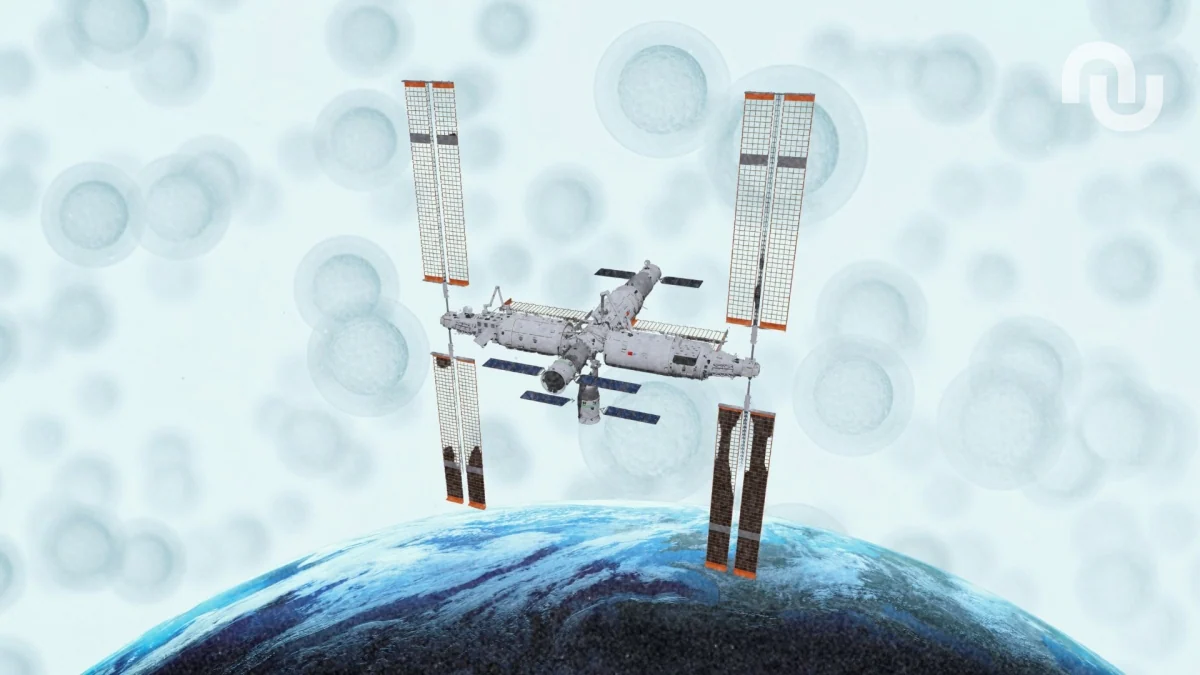 La Chine vient d’envoyer des embryons « humains » dans l’espace, et ce n’est pas de la science-fiction