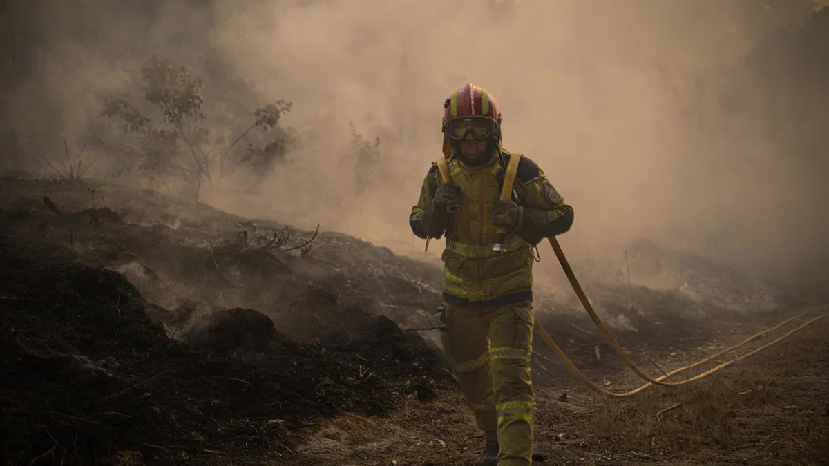 120 efectivos de la UME trabajan para sofocar el incendio de Vouzela (Portugal)