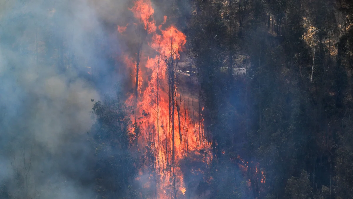 Ecuador lanzó una campaña para prevenir incendios forestales antes del inicio de la temporada de mayor riesgo
