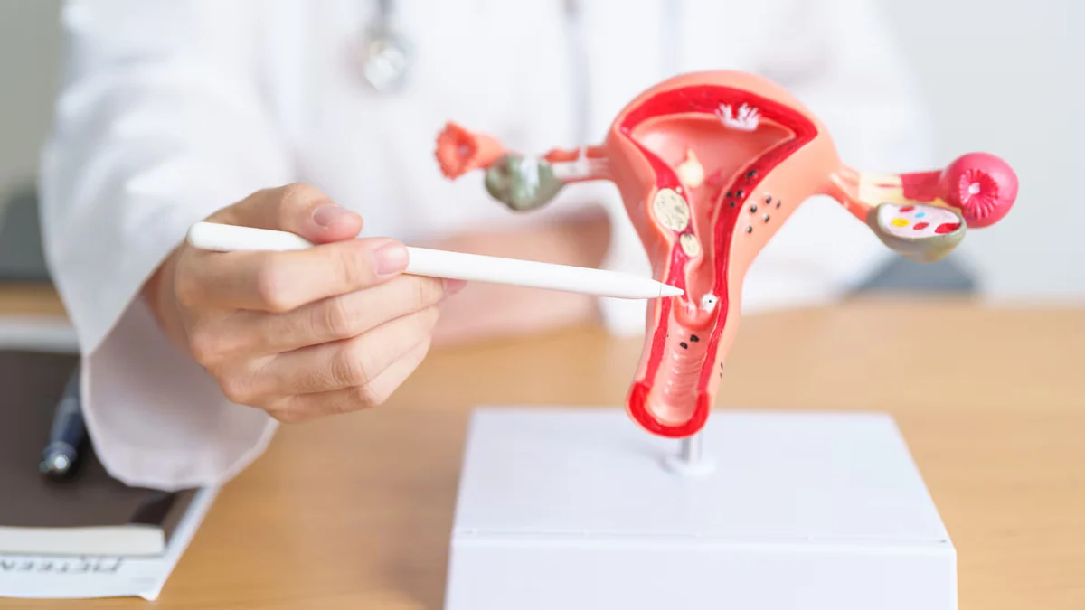 Una nueva terapia logra atacar el cáncer de ovario reduciendo el daño a las células sanas