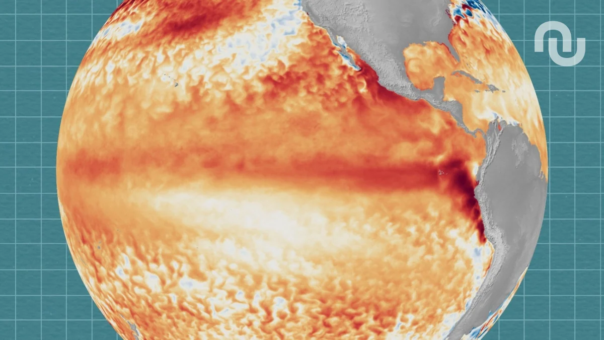Le phénomène climatique El Niño a officiellement commencé : à quoi faut-il s’attendre ?