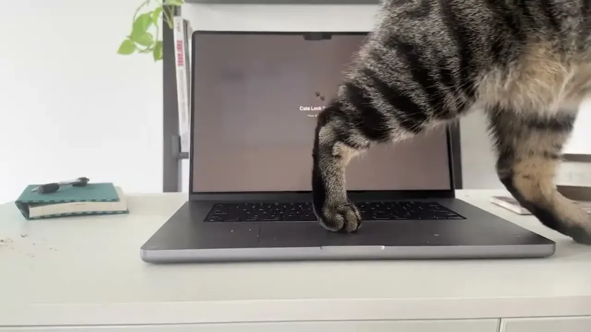 Kedi Sahibi Mac Kullanıcılarına İlaç Gibi Uygulama
