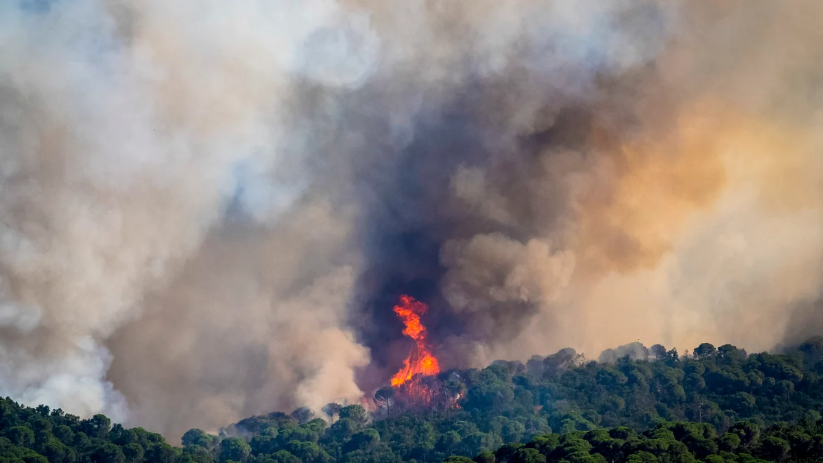 El incendio originado en La Bisbal d'Empordà (Girona) quema una casa en una urbanización de Calonge y la Generalitat cierra el acceso al macizo de Les Gavarres