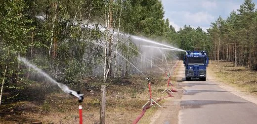 Müritz-Nationalpark: Waldbrand in Mecklenburg-Vorpommern laut Minister gelöscht