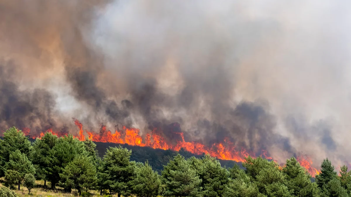 El silencio habita Muriel tras la evacuación por el fuego