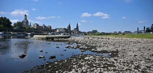 Elbe: Güterschiffe stehen wegen Niedrigwasser wohl bis September still