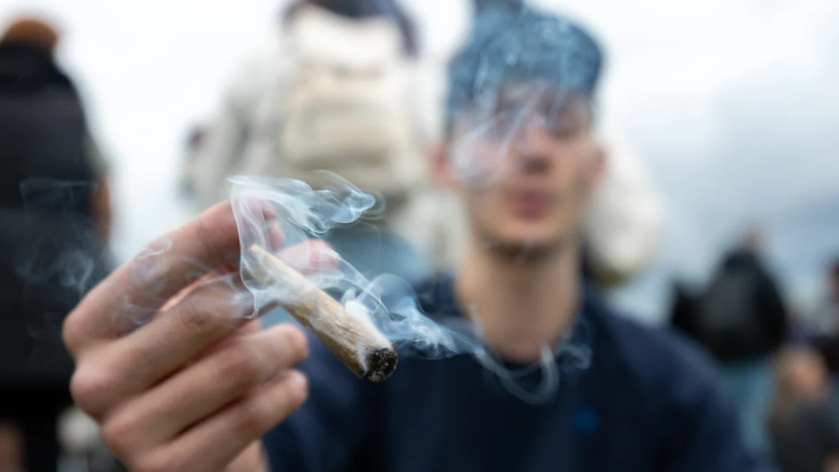 El cannabis aumenta el riesgo de brotes psicóticos, pero su legalización no siempre tiene las mismas consecuencias