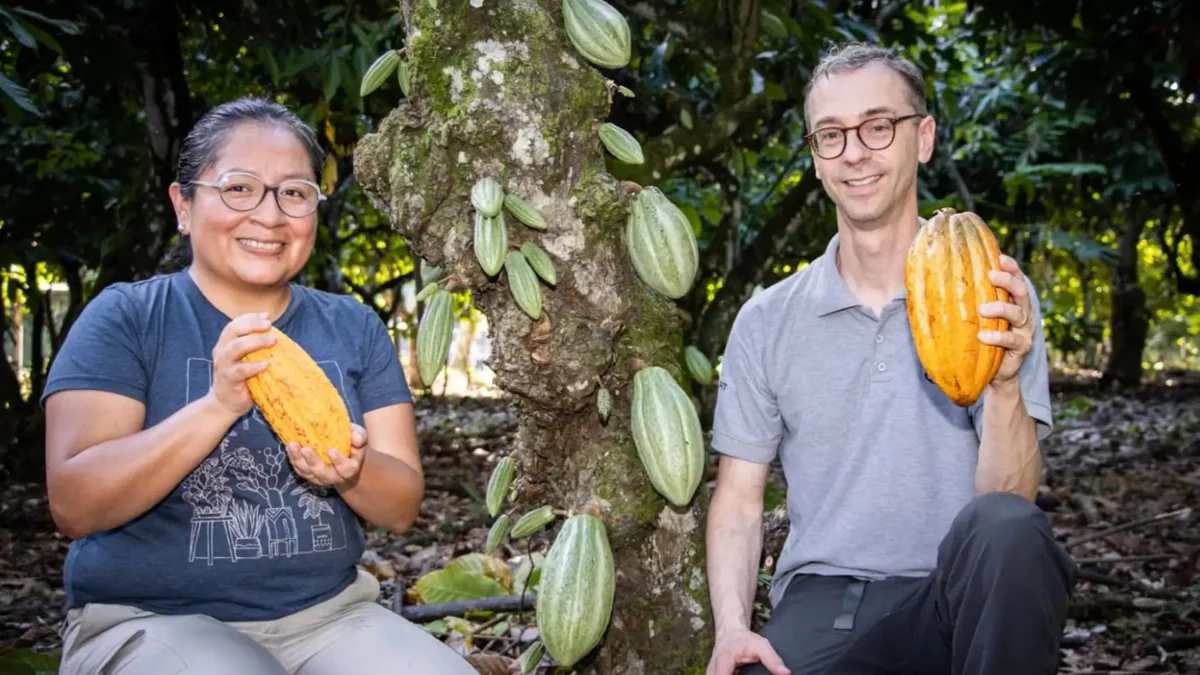 Cacao peruano conquista Canadá: apuestan en Montreal solo por variedades nativas