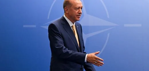 Türkei: 178 Menschen vor Nato-Gipfel in Ankara in U-Haft genommen