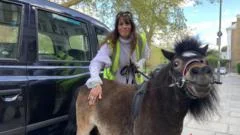 'He's a life saver': The miniature therapy horse that travels by taxi
