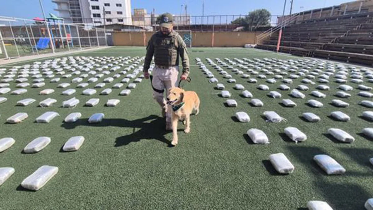 La policía chilena ha incautado más de 45 toneladas de drogas en lo que va del año