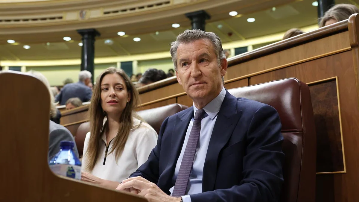 Feijóo pide al PP no desviar el foco del "carrusel" judicial de Sánchez y Zapatero para retratarles como "la mafia"