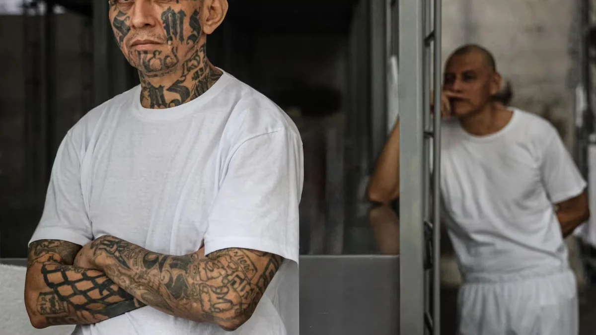 El “Testamento” de la MS-13: Fiscalía salvadoreña inicia alegatos finales en macrojuicio contra 485 cabecillas