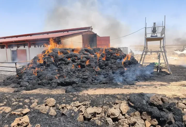 Mardin’de saman balyaları yandı
