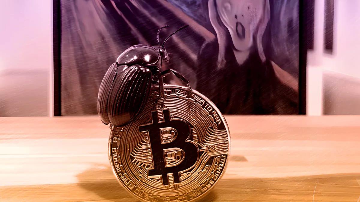 Bitcoin Red Team выявила тысячи проблем в 390 биткоин-проектах