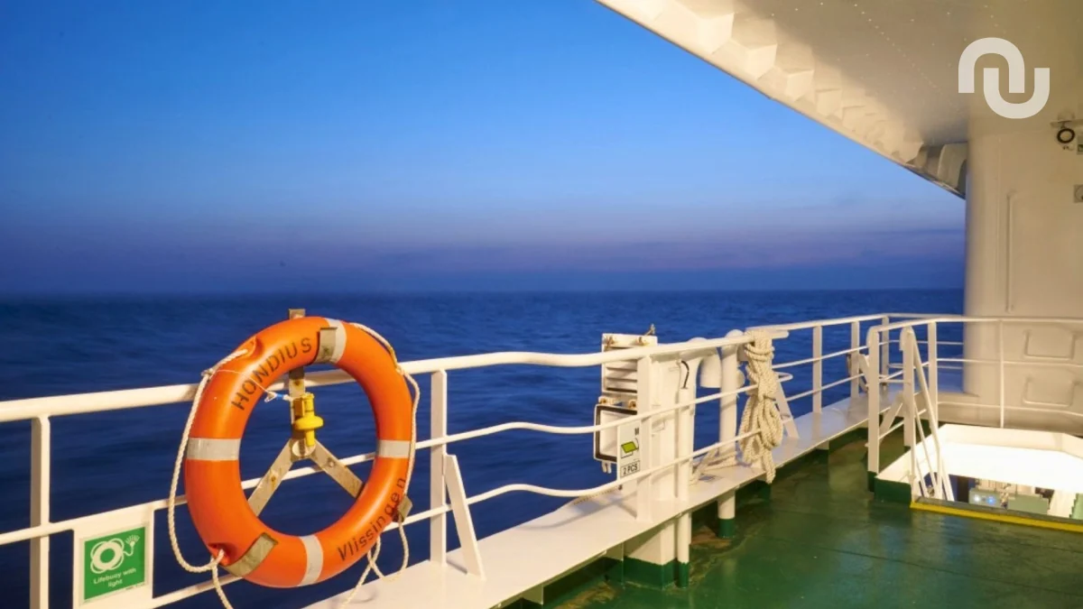Hantavirus : pourquoi les bateaux de croisière sont de véritables nids à épidémies