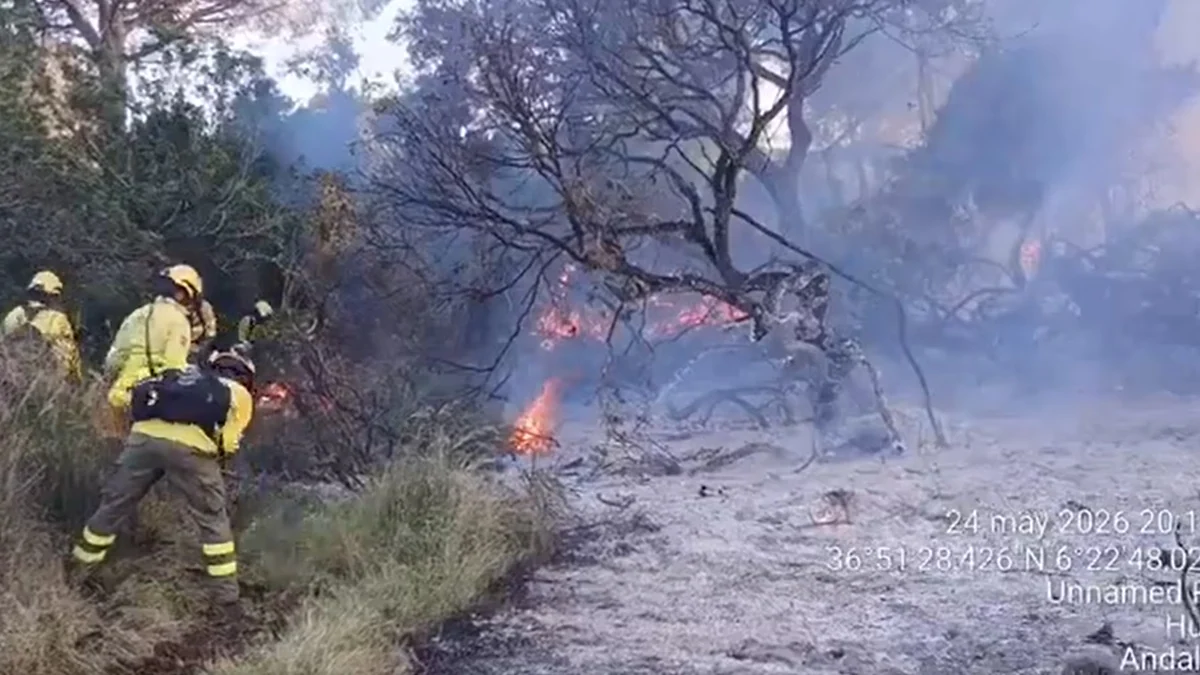 Los bomberos luchan durante toda la noche contra un incendio en Doñana: “No hay afectación alguna a El Rocío ni a la actividad de la romería”