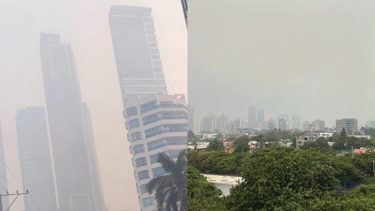 Emergencia ambiental en Barranquilla: incendio en Isla Salamanca generó densa capa de humo y alarma en la población