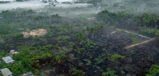 Amazonas-Gebiet in Brasilien: Waldbrände sinken auf tiefsten Stand seit Jahrzehnten