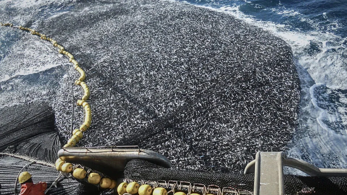 El Niño golpea el crecimiento de Perú en mayo y el PBI se estanca a 1,80% tras caída en dos sectores clave